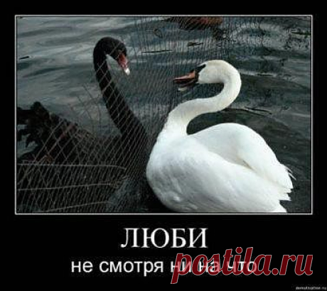 Никогда не сдавайтесь.Если уверены(конечно).