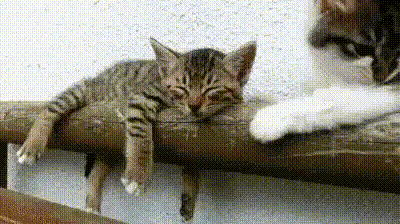Кто рано встаёт, тот всех достаёт.