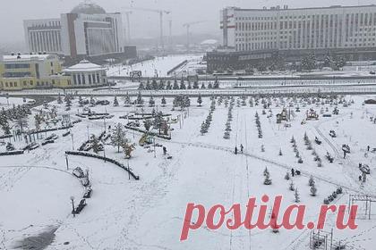 В российском регионе из-за снегопада нарушена работа общественного транспорта. В Кемерове из-за снегопада пострадали деревья и электросети, что нарушило работу общественного транспорта. На кадрах видны поваленные от тяжести снега деревья. Отмечается, что из-за этого на некоторых улицах оборвались провода, а также повреждены припаркованные автомобили.