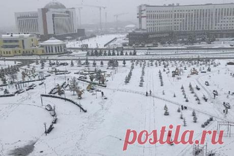 В российском регионе из-за снегопада нарушена работа общественного транспорта. В Кемерове из-за снегопада пострадали деревья и электросети, что нарушило работу общественного транспорта. На кадрах видны поваленные от тяжести снега деревья. Отмечается, что из-за этого на некоторых улицах оборвались провода, а также повреждены припаркованные автомобили.