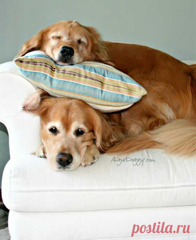 Our Summer Vacation! And Giveaway!