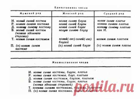 На какие вопросы отвечает прилагательное? Вопросы прилагательного. Вопросы кратких прилагательных
