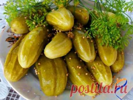 Одноклассники