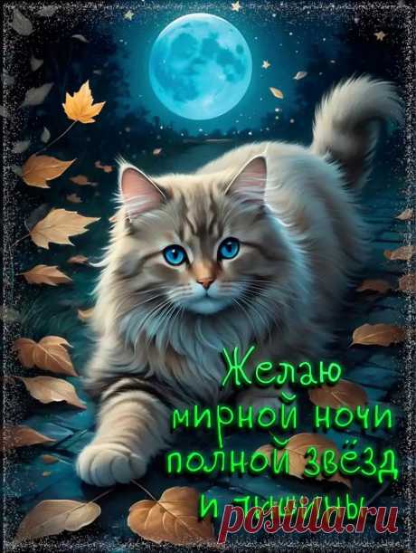 Картинка спокойной ночи с пожеланием и котиком