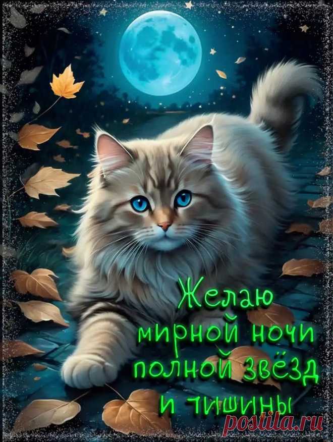 Картинка спокойной ночи с пожеланием и котиком