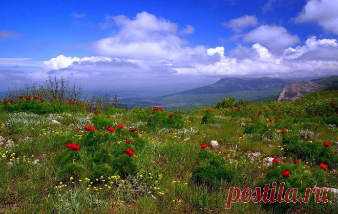 Весенний Крым