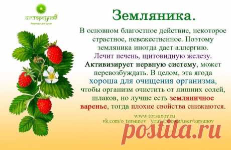 Земляника