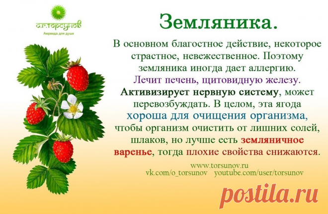 Земляника