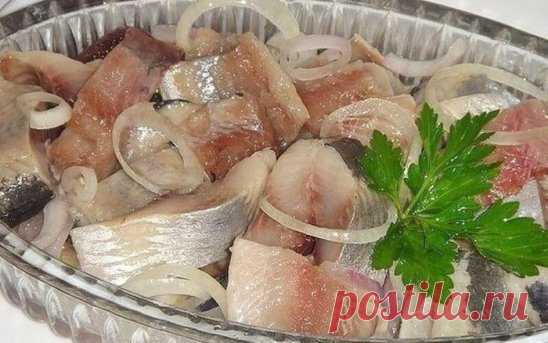 6 рецептов маринования селедки - вкусно и просто 
1. Маринад для селедки пряный 
Свaрите мapинад - 1 стакан воды, полстакана растительного масла, по вкусу подсолите немного, зерна кориандра, лавровый лист и душистый перец 3-5 горошин. 
Покипит минут 10-15 и снимайте с огня, вливайте уксус 9% треть стакана. 
Холодным маринадом залейте селедочное филе и оставьте на сутки в холодильнике. 
2. Яблочный маринад 
1 кисло-сладкое яблоко натереть на крупной терке, добавить 
100 гр ...