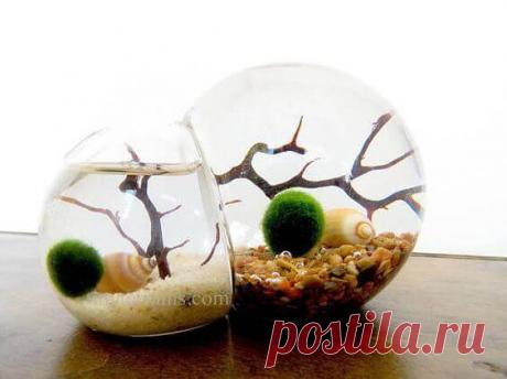 Миниатюрный аквариум как элемент декора