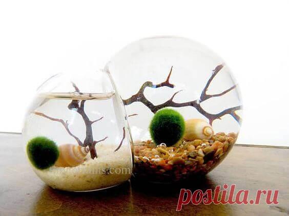 Миниатюрный аквариум как элемент декора