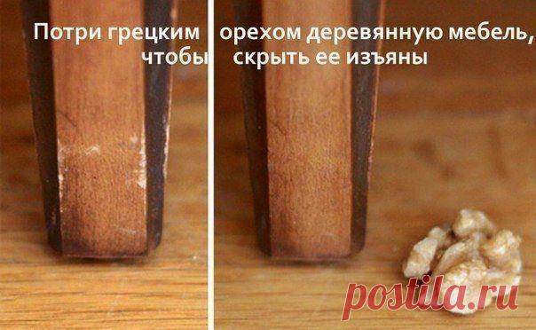 Как помочь себе жить / Домоседы