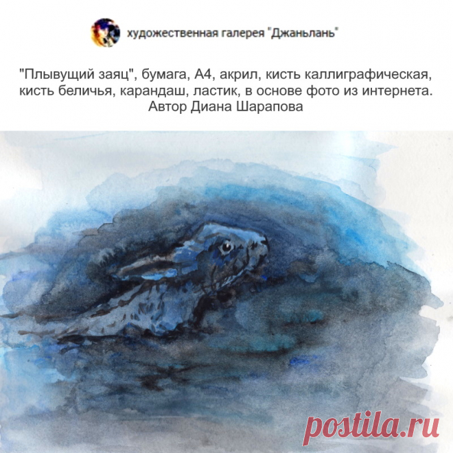 заяц