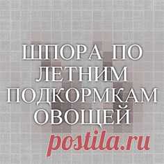 ШПОРА ПО ЛЕТНИМ ПОДКОРМКАМ ОВОЩЕЙ