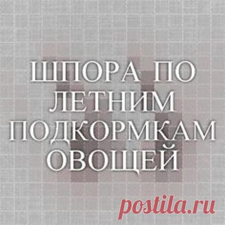 ШПОРА ПО ЛЕТНИМ ПОДКОРМКАМ ОВОЩЕЙ