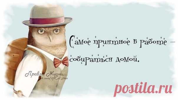 Жизненная правда в картинках | ОПТИМИСТ
