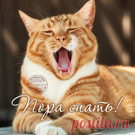 Картинки «Пора спать!» (32 фото) ⭐ Забавник