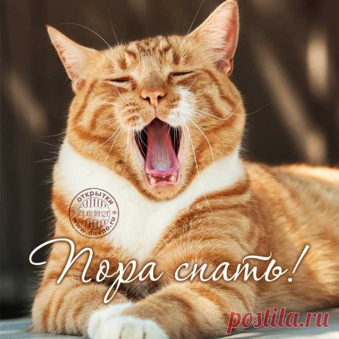 Картинки «Пора спать!» (32 фото) ⭐ Забавник