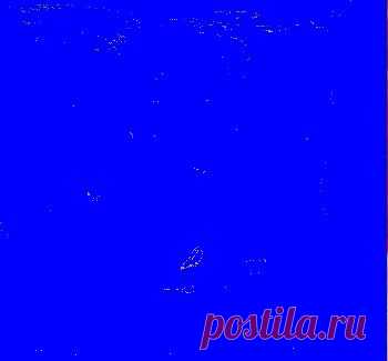 Соус-закуска из кабачков и слив на зиму. Соус-закуска из кабачков со сливами обладает оригинальным пикантным вкусом. Его можно подавать как отдельно, так и в качестве гарнира к птице, мясу и рыбе.