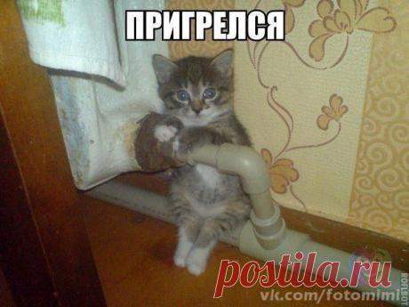 ********