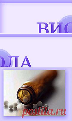 ТОО «Виола» - гомеопатическая аптека, производство гомеопатических средств, прием врача-гомеопата, гомеопатия