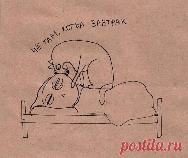 Одноклассники