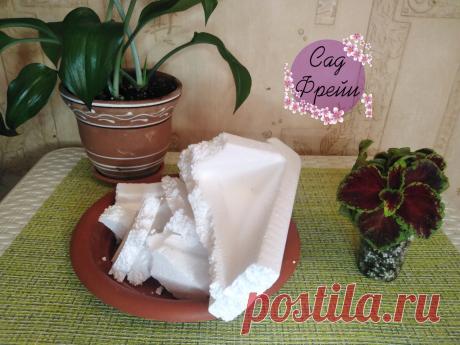 Пенопласт не выбрасываю, а использую для комнатных цветов. Показываю 3 простых способа применения бросового материала | Сад Фрейи | Яндекс Дзен