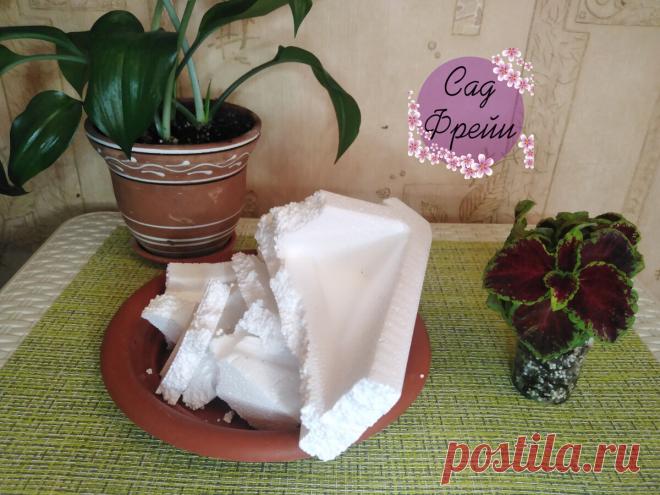 Пенопласт не выбрасываю, а использую для комнатных цветов. Показываю 3 простых способа применения бросового материала | Сад Фрейи | Яндекс Дзен