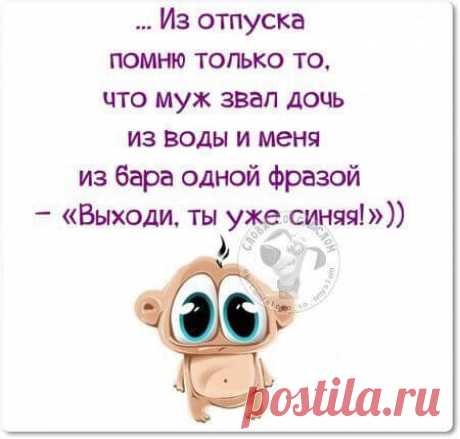 Веселые шутки и истории для поднятия настроения