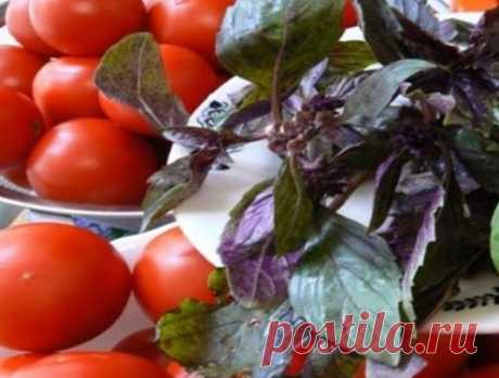 Маринованные помидоры под капроновой крышкой быстрого приготовления