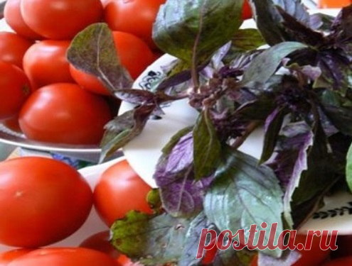 Маринованные помидоры под капроновой крышкой быстрого приготовления