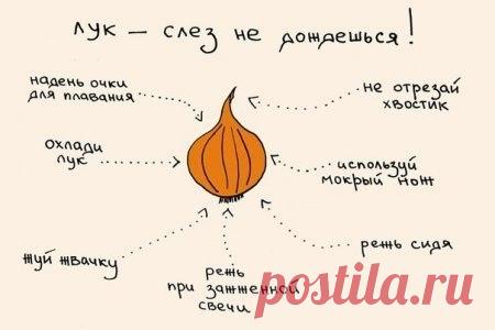 .ЧТОБ НЕ ЛИТЬ СЛЁЗЫ