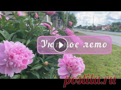 Сегодня сняла это коротенькое видео для вас! Наверное это видео можно назвать «УЮТНОЕ видео» Сейчас цветут эти прекрасные цветы, акация и пионы, как ж...