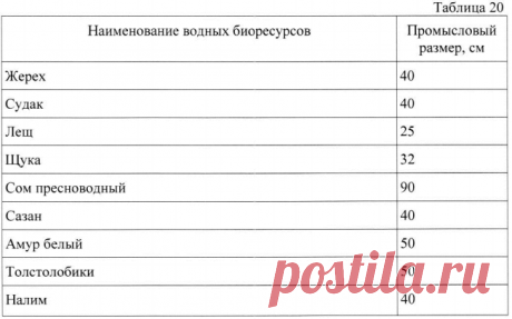 Какую рыбу можно ловить без суточной нормы? Официальный ответ Росрыболовства | Рыбалка XXI века | Яндекс Дзен