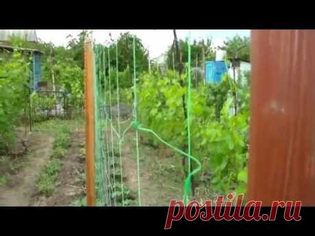 Шпалера для огурцов