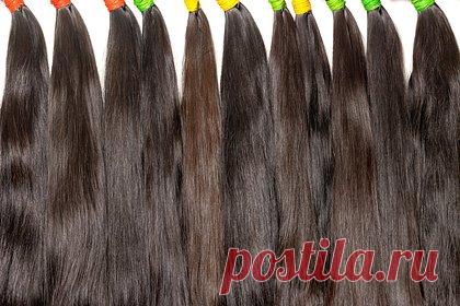 У контрабандиста изъяли человеческие волосы на миллионы рублей. В Турции задержали мужчину, который ввез в страну волосы на полтора миллиона турецких лир (6,1 миллиона рублей). Сотни пучков человеческих волос были изъяты у прибывшего из Ирана пассажира в восточной провинции Агры в среду, 3 мая. Волосы, по версии следствия должны были быть переправлены на Гранд-базар Стамбула.