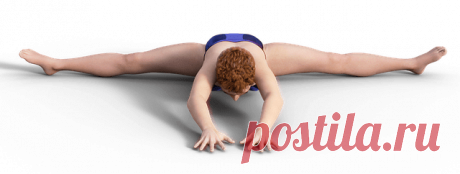 Садимся на шпагат | Журнал "JK" Джей Кей Садимся на продольный и поперечный шпагат постепенно!