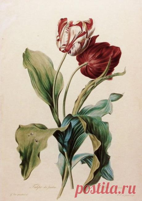 Найдено на сайте etsy.com.