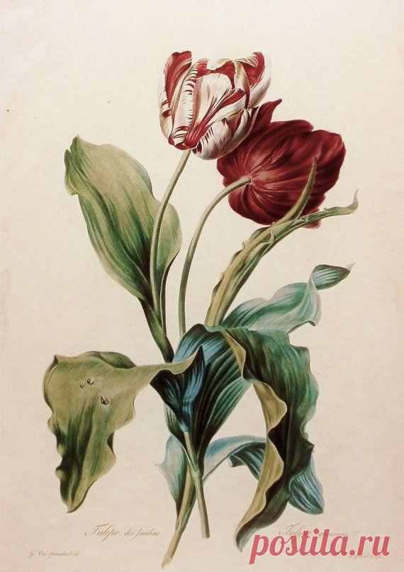 Найдено на сайте etsy.com.