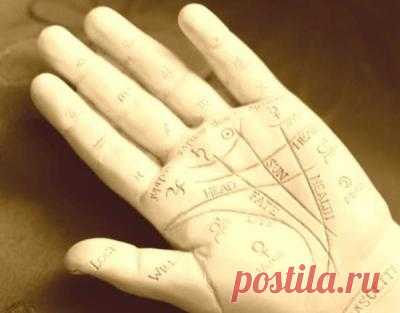 Линия жизни в хиромантии | Astro-ru.ru