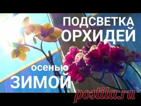 ОРХИДЕИ ПОДСВЕТКА ОСЕНЬЮ и ЗИМОЙ бюджетная и надежная