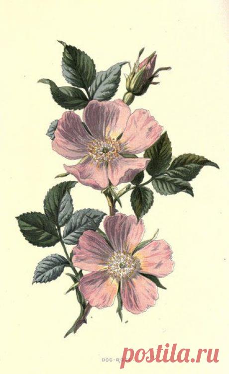 ~ MON PLAISIR ~ Вещи для души. Винтаж,Прованс.