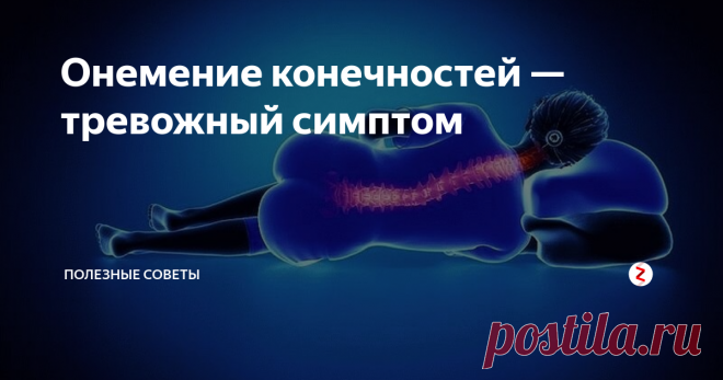 Онемение конечностей — тревожный симптом Проснулись среди ночи и понимаете, что не можете пошевелить ногой или  рукой? Конечность затекла, в неё впилось миллион иголочек, которые при попытке пошевелиться «вонзаются» ещё глубже. Пройдёт пара минут, и часть тела придёт в норму. Пока же  нужно интенсивно растирать и разминать, помогая избавиться от неприятных ощущений.
Симптомы такого типа могут говорить о серьёзных нарушениях в организме ч