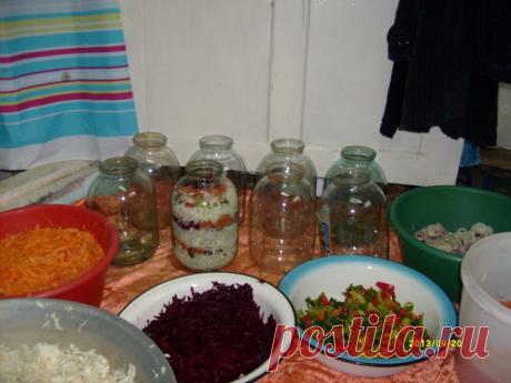 салат "ОГОРОД" капуста,морковь,свекла,перец,лук,помидоры ,укладываем слоями в банку,заливаем кипятком на 1 час ,затем сливаем и на каждый литр добавляем 4 ст лож сахара ,3 ст лож соли и 1 ст лож уксуса ( вкусно как салат и можно варить борщ)