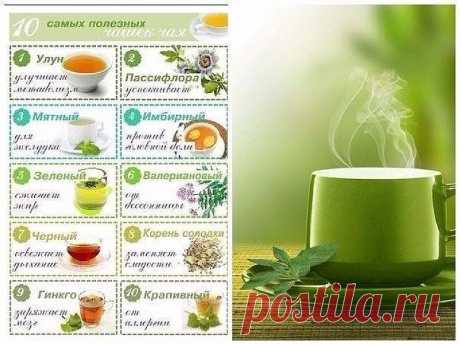 ВИДЫ ЧАЯ ДЛЯ ЗДОРОВЬЯ