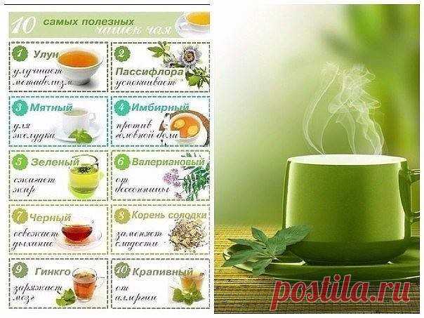 ВИДЫ ЧАЯ ДЛЯ ЗДОРОВЬЯ