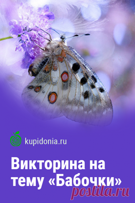 Викторина на тему «Бабочки». Интересный тест о бабочках из серии «Насекомые». Пройдите тест на сайте и проверьте свои знания!