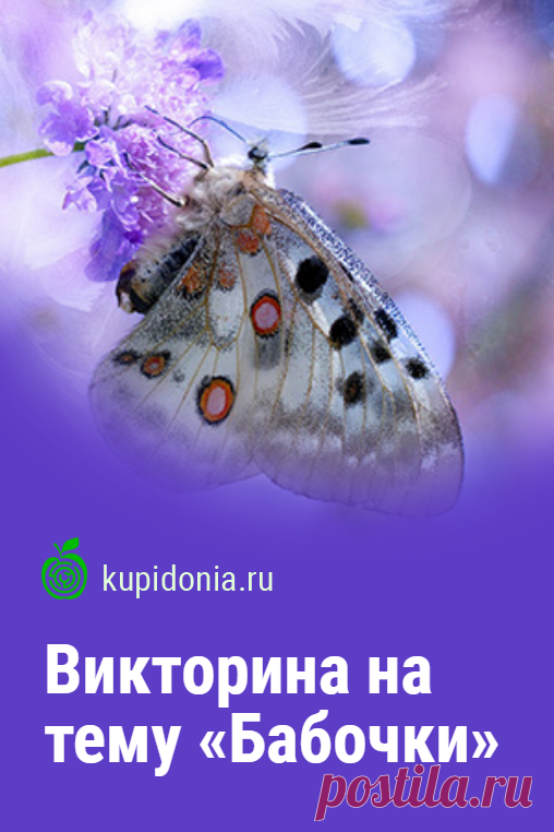Викторина на тему «Бабочки». Интересный тест о бабочках из серии «Насекомые». Пройдите тест на сайте и проверьте свои знания!