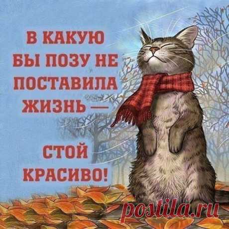---Рекомендуем:	--- @prostobiju - стильная бижутерия ----------	--- @esthetique_blog_ru - арт блог, красиво о красивом ----------	--- @russia_photos - прекрасные места России ----------	--- @sweet_dessert_life - сладкоежкам на заметку ----------	--- @insta_moscow_msk - лучшие фотографии нашей столицы ----------	#dobryesovety_ru #добрыесоветы #советыдлядома #советыэкспертов #лайфхакидлядома #лайфхакерша #лайфхакер #хитростижизни #хитрости_жизни #секреты