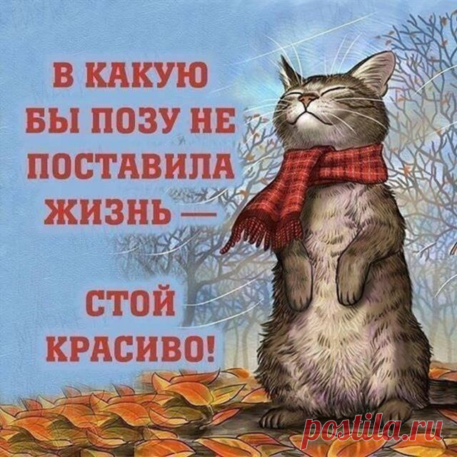 ---Рекомендуем:	--- @prostobiju - стильная бижутерия ----------	--- @esthetique_blog_ru - арт блог, красиво о красивом ----------	--- @russia_photos - прекрасные места России ----------	--- @sweet_dessert_life - сладкоежкам на заметку ----------	--- @insta_moscow_msk - лучшие фотографии нашей столицы ----------	#dobryesovety_ru #добрыесоветы #советыдлядома #советыэкспертов #лайфхакидлядома #лайфхакерша #лайфхакер #хитростижизни #хитрости_жизни #секреты